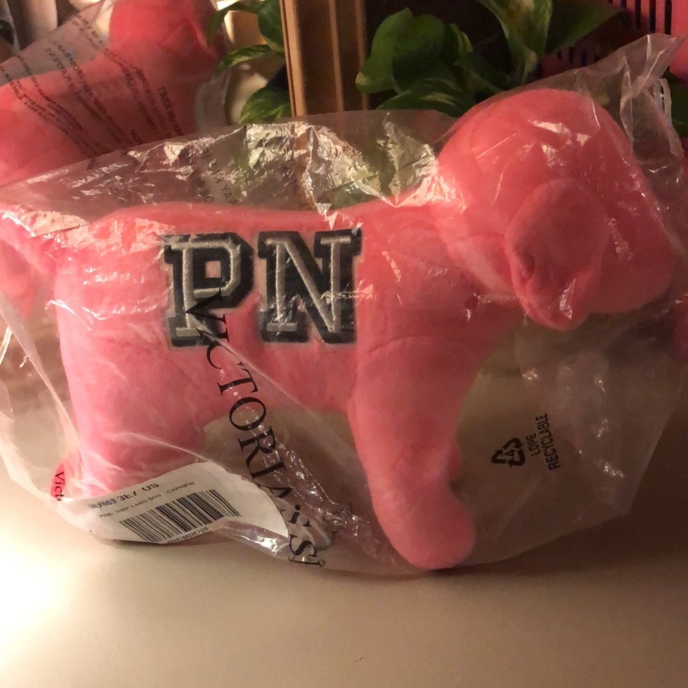 New! PINK dog